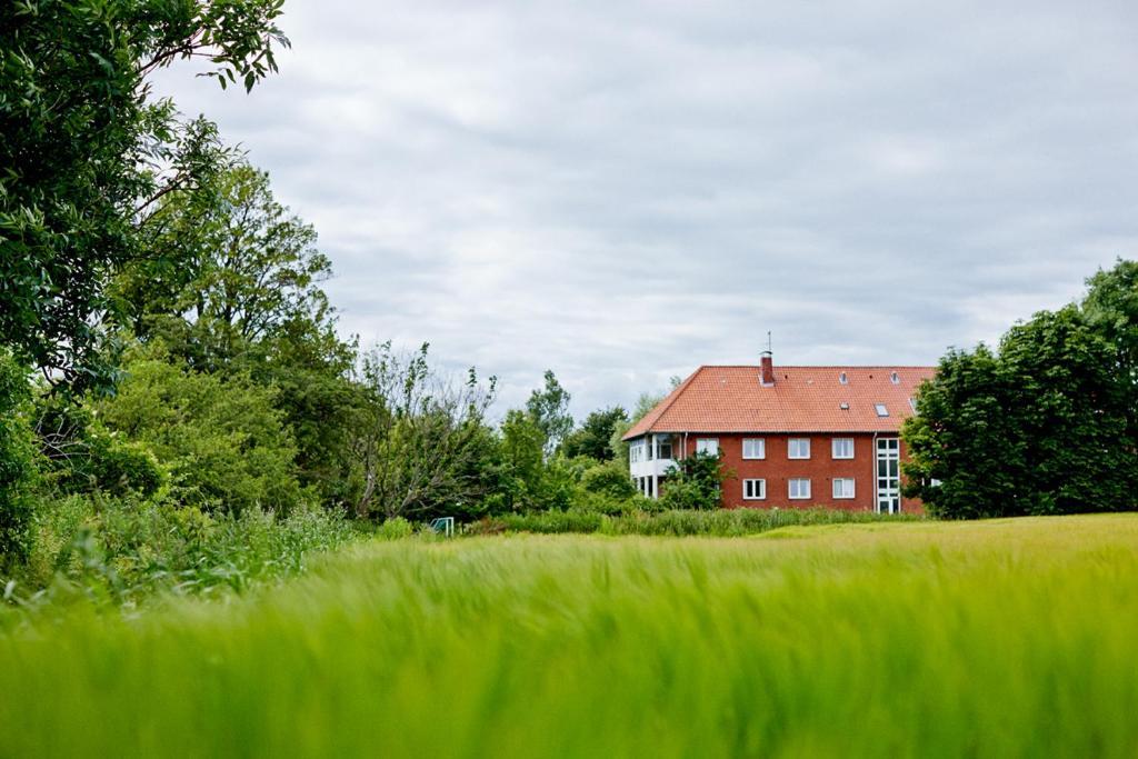 Mon Hostel & Vandrehjem Борре Экстерьер фото